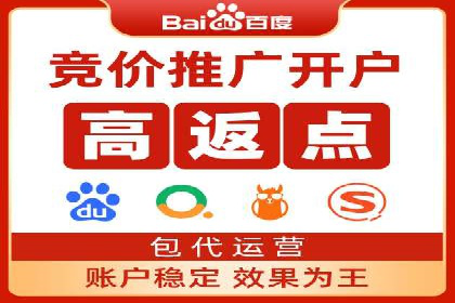 竞价排名在搜索引擎营销中的运用案例